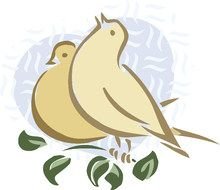 Pigeon Clip Art drawing