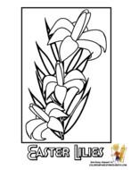 Easter Lily Coloring Page Printable