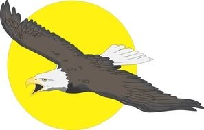 Cartoon Eagle in Flying