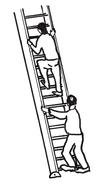 Climbing Ladder as a graphic illustration