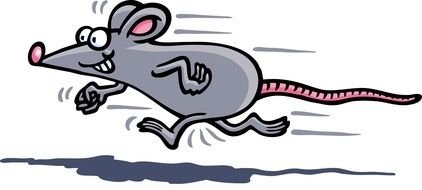 Mouse Running drawing