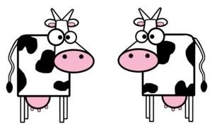 Cows Cartoon Clip Art drawing