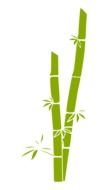 green Bamboo Tree drawing