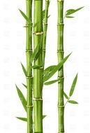 Bamboo Clip Art N19