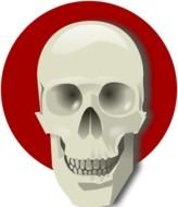 Human Skull Clip Art N7