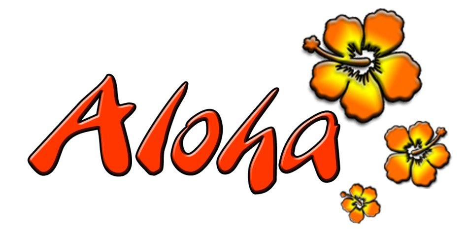 aloha logo with orange flowers