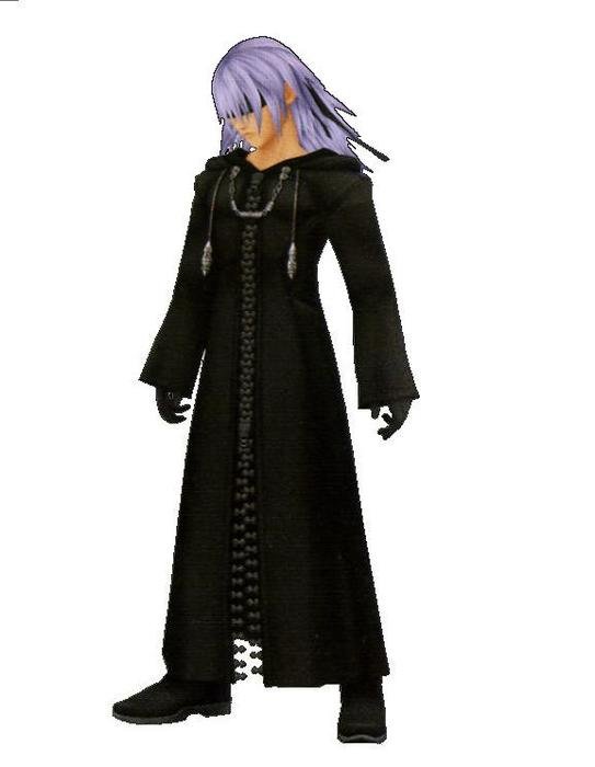 Kingdom Hearts Riku No Body