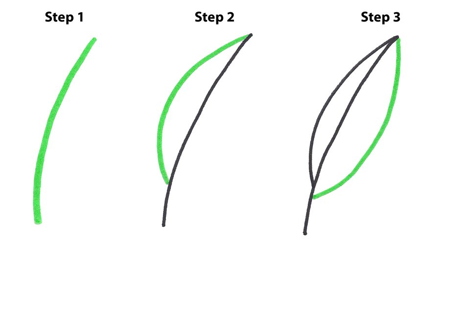 How To Draw Leaves Step By