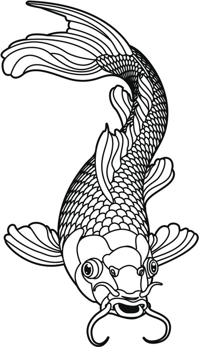 Black and white Ä°llustration of carp fish