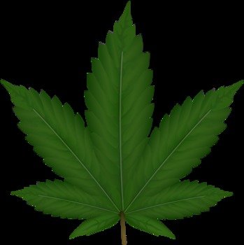Weed Leaf Clip Art N4