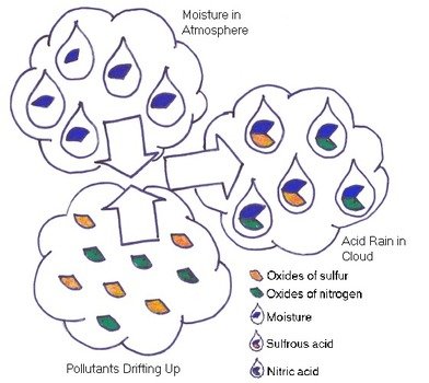 Acid Rain