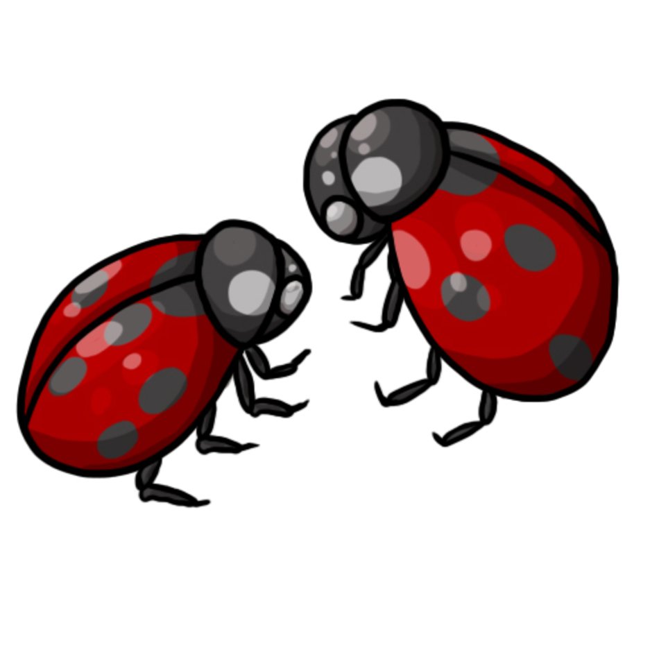 Ladybug Clip Art N45