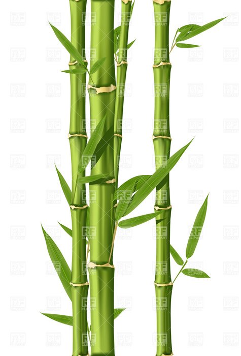 Bamboo Clip Art N19