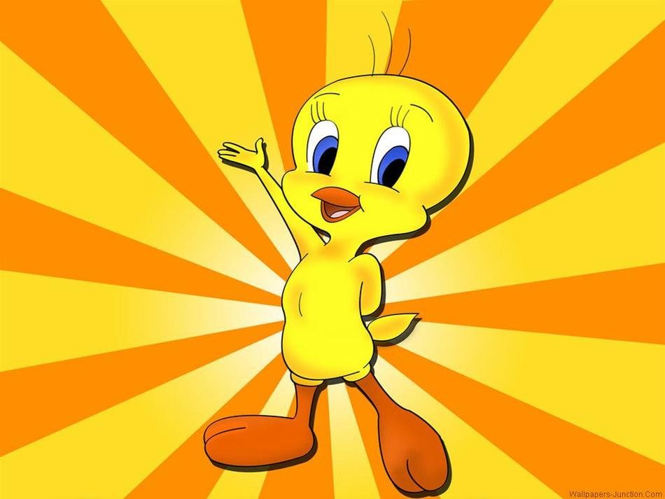 Beautiful cartoon Tweety clipart