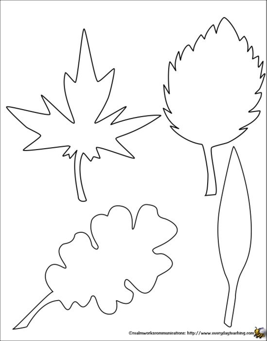 Fall Leaf Template N2