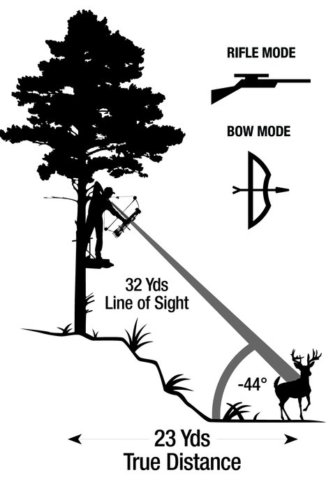 hunting in the picture