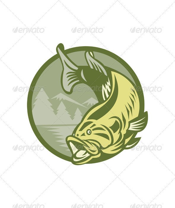 Largemouth Bass Fish