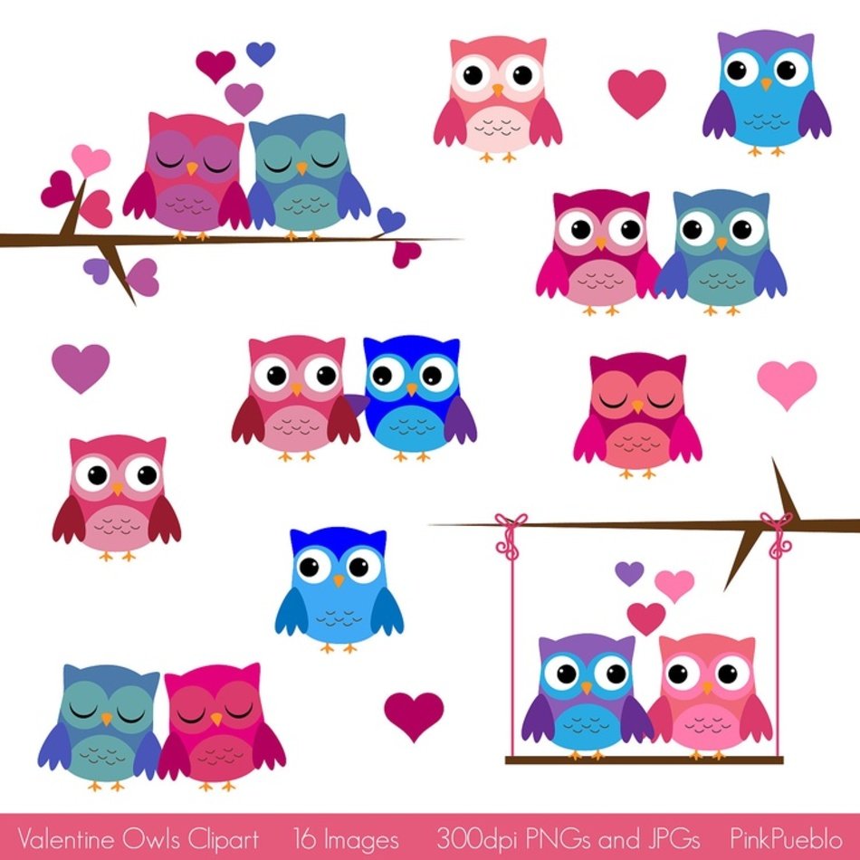 Valentine Owl Clip Art N12