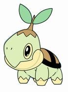 drawing Cute Pokemon