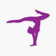 Gymnastics Silhouette N5