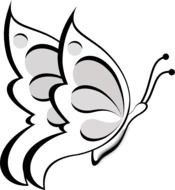 Side Butterfly Outline