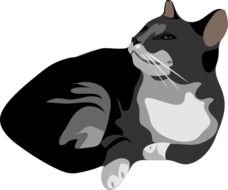 Cat Clip Art N77