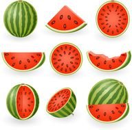 Watermelon Clip Art Free N15