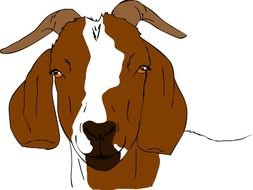 Boer Goat Clip Art N2