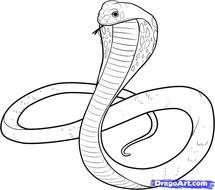King Cobra Snake Drawings N4