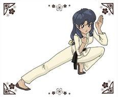 Karate Girl Clip Art N10