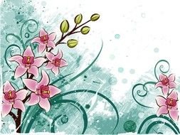 Floral Design as a graphic illustration