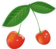 sweet Cherries drawing