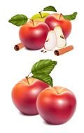Apple Vector Art drawing