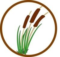Marsh Grass Clip Art N5