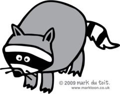 Raccoon Cartoon Clip Art N4