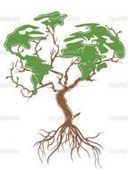 Earth Tree N2