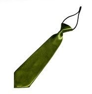 Kids Or Toddlers Pretied Polyester Satin Neck Ties Neckties Green