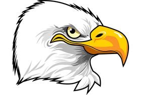 Cartoon Eagle Head drawing