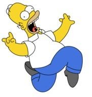 Homer Simpson N15