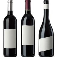 Wine Bottles as a graphic illustration