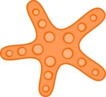 Starfish Clip Art drawing