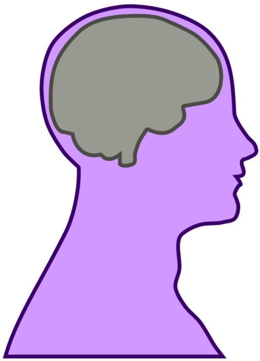 purple human profile with gray brain