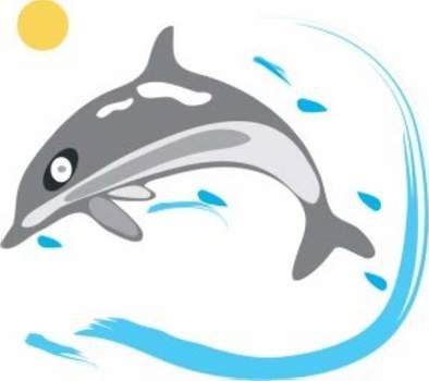 Black White Dolphin Clip Art