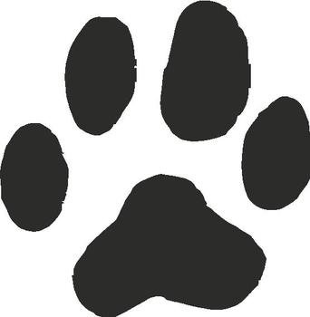 Cougar Paw Print N3