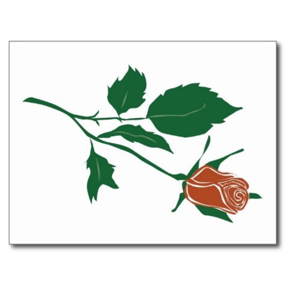 Red Rose Clip Art N32