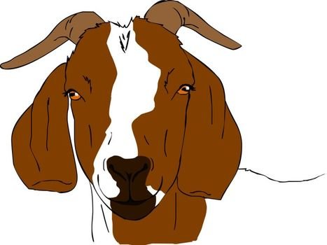 Boer Goat Clip Art N2
