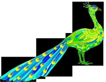 Peacock Clip Art N16