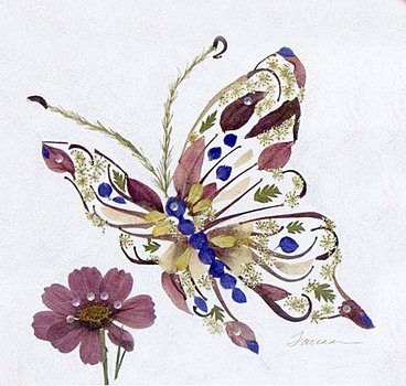 Pressed Flower Art