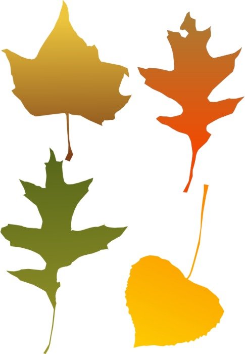 painted four autumn leaves