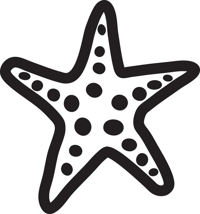 Black And White Starfish drawing